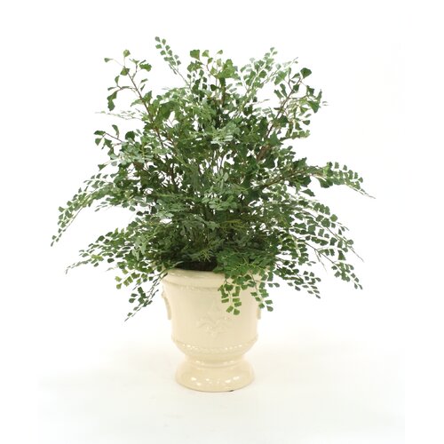 Distinctive Designs Silk Maiden Hair Fern in an Glazed Urn with Fleur