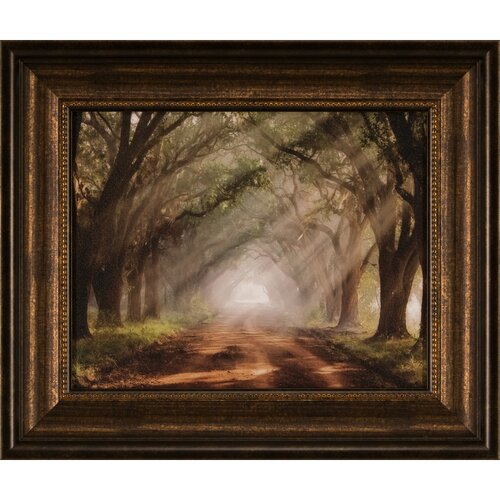 Evergreen Plantation Small Framed Photographic Print | Wayfair