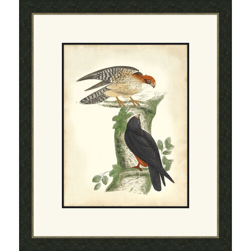 Melissa Van Hise Hawks I Wall Art