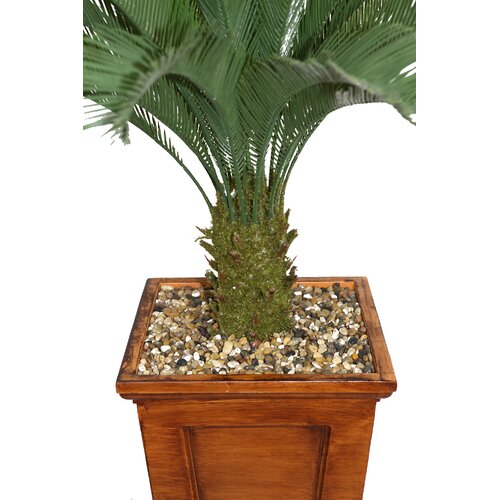 Laura Ashley Home Tall Cycas Palm Tree in Planter