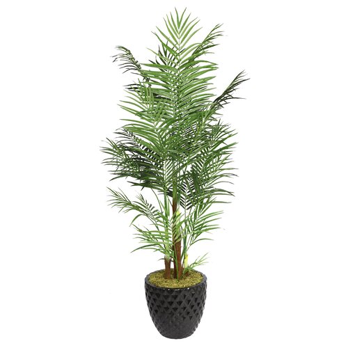 Laura Ashley Home Tall Areca Palm Tree in Planter