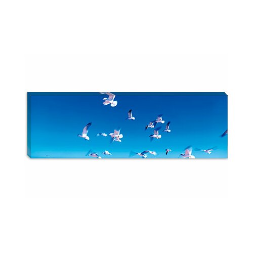 iCanvasArt Birds in Flight Flagler Beach FL Canvas Wall Art