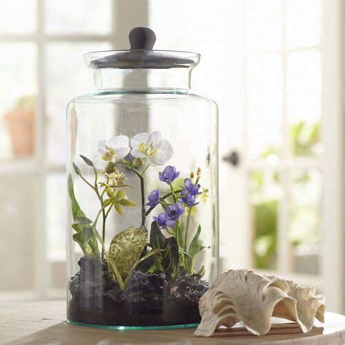 Faux Mixed Orchid Terrarium