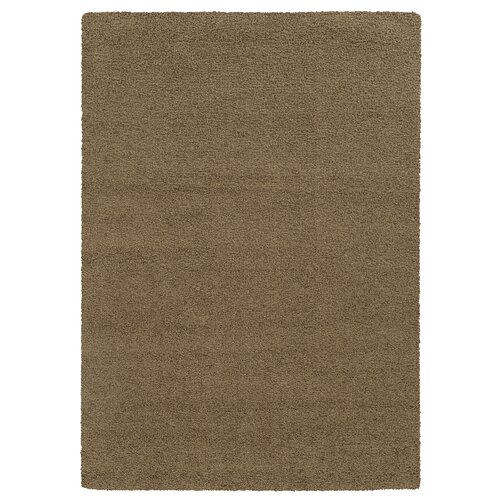 Pantone Universe Focus Brown Shag Rug