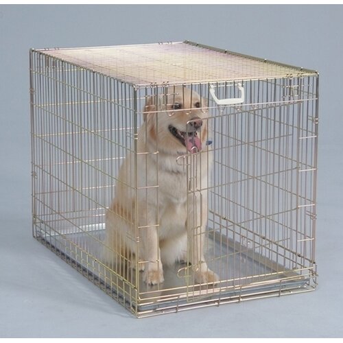 General Cage Premium Fold Down Wire Dog Crate in Gold