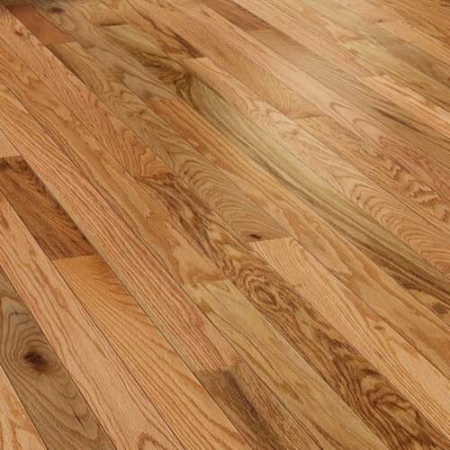 Shaw Floors Golden Opportunity 3 1/4 Solid Red Oak in Natural