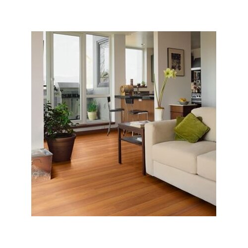 Shaw Floors Salvador 8mm Laminate in Tigerwood