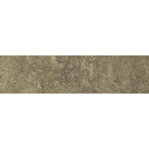 Shaw Floors Lunar 12 x 3 Bullnose Tile Trim in Noce