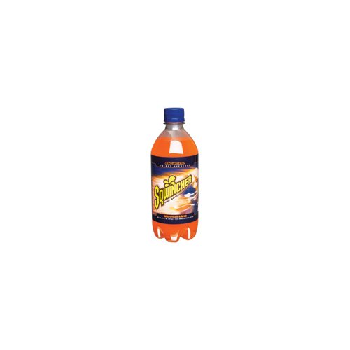 Gatorade Sports Drink, 20 Oz. Plastic Bottles, 24/Carton