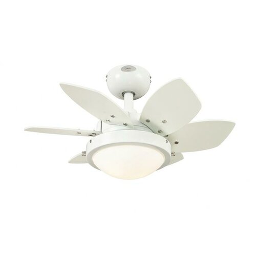 Westinghouse Lighting 24” Quince 6 Blade Ceiling Fan