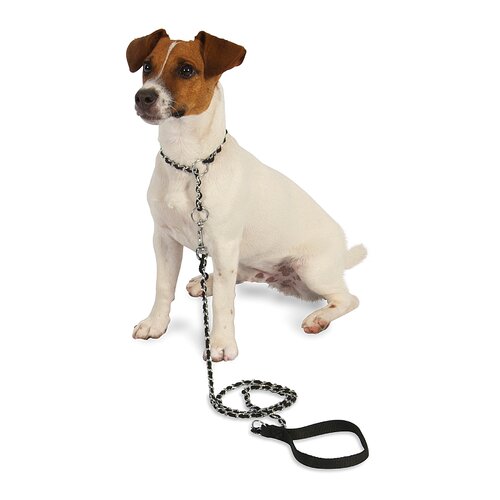 Guardian Gear Cotton Webbing Dog Training Leash