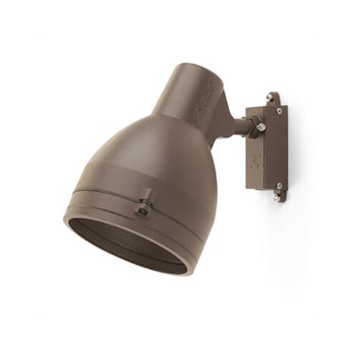 Kichler Landscape Spot Light