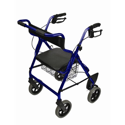 Briggs Healthcare Transport / Rollator Chair