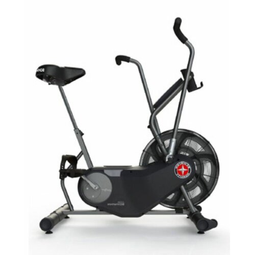 Schwinn Fitness Airdyne AD6 Indoor Cycling Bike