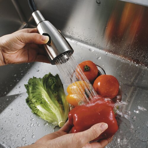 Vigo One Handle Single Hole Pull Out Spray Kitchen Faucet with 16