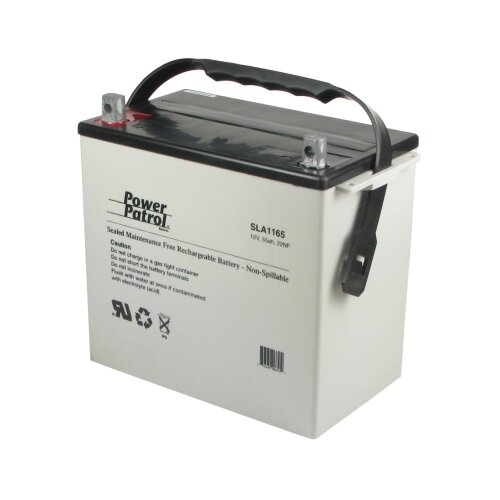 Interstate Battery 12 Volt 55 Amp Sealed Lead Acid Battery