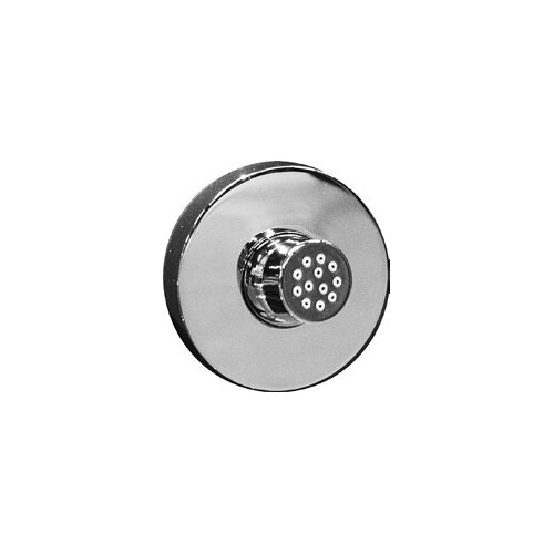 Moen Body Spray Shower Head