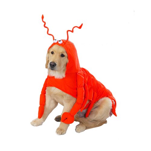 Casual Canine Lobster Paws Dog Costume