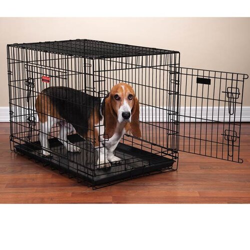 ProSelect Everlasting Folding Pet Crate