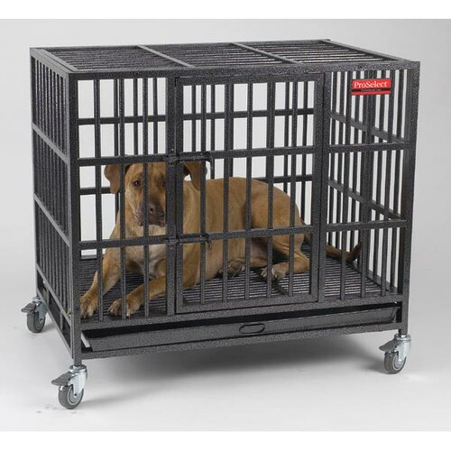 ProSelect Empire Dog Crate