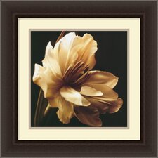 Timeless Grace I by Charles Britt, Framed Print Art   15.83 x 15.83