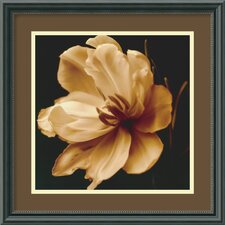 Timeless Grace I by Charles Britt, Framed Print Art   15.83 x 15.83