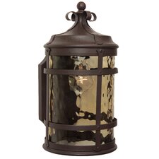 Nuvo Lighting Aston 1 Light Small Arm Down Wall Lantern