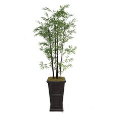 Tall Bamboo Tree in Decorative Vase