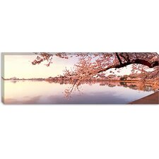 iCanvasArt Panoramic Cherry Blossoms at The Lakeside, Washington, D.C